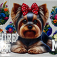 Pets 9