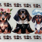 Pets 28