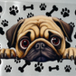 Pets 14