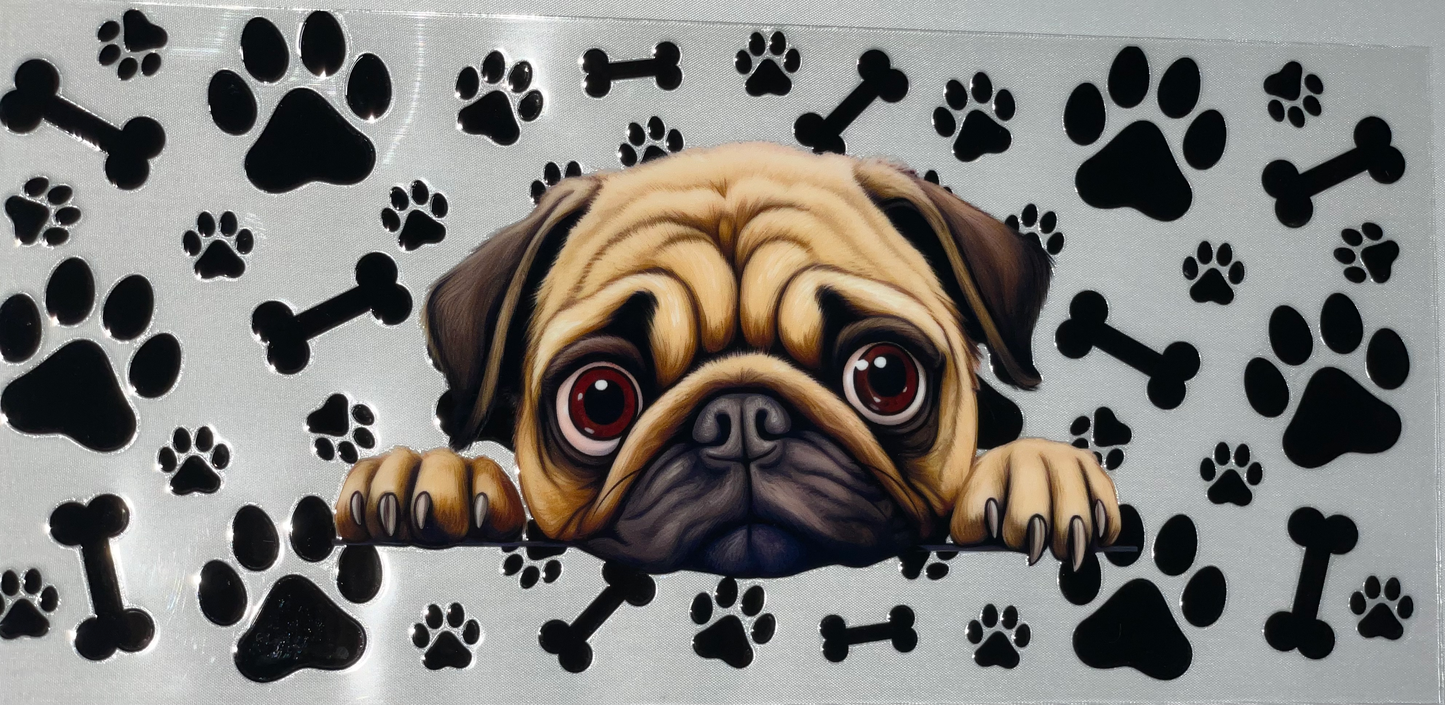 Pets 14