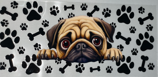 Pets 14