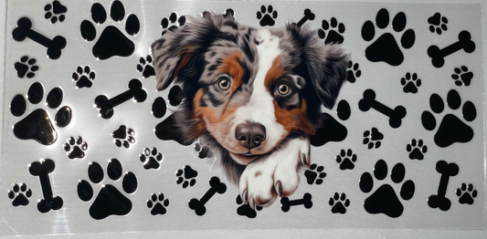 Pets 12