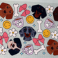 Pets 5