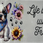 Pets 11