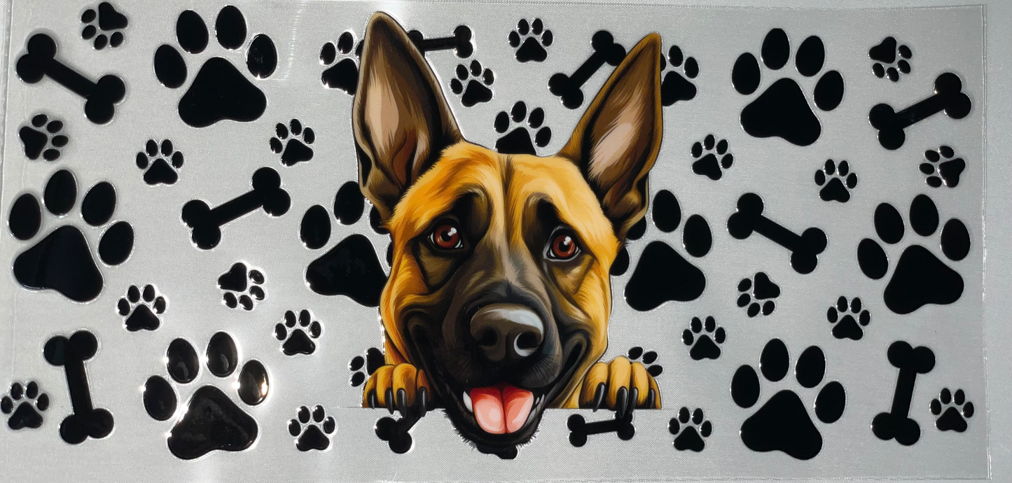 Pets 13