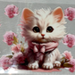 Pets 16