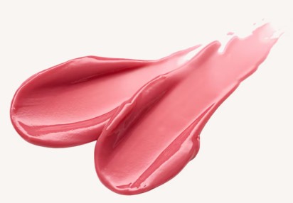 Purse Lip Charm